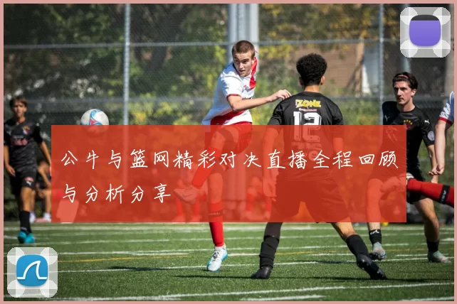公牛与篮网精彩对决直播全程回顾与分析分享