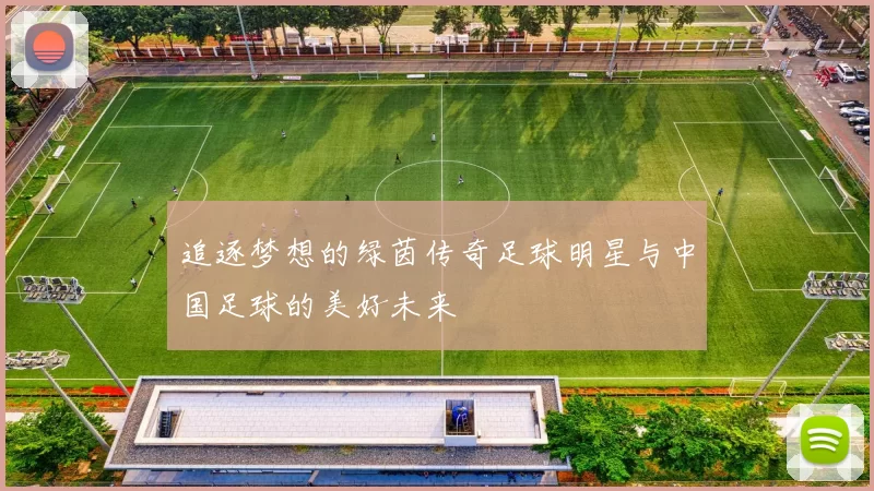 追逐梦想的绿茵传奇足球明星与中国足球的美好未来