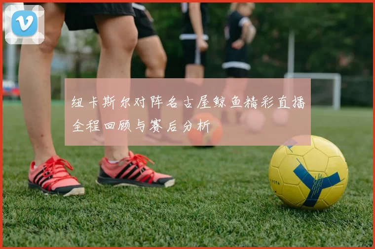纽卡斯尔对阵名古屋鲸鱼精彩直播全程回顾与赛后分析