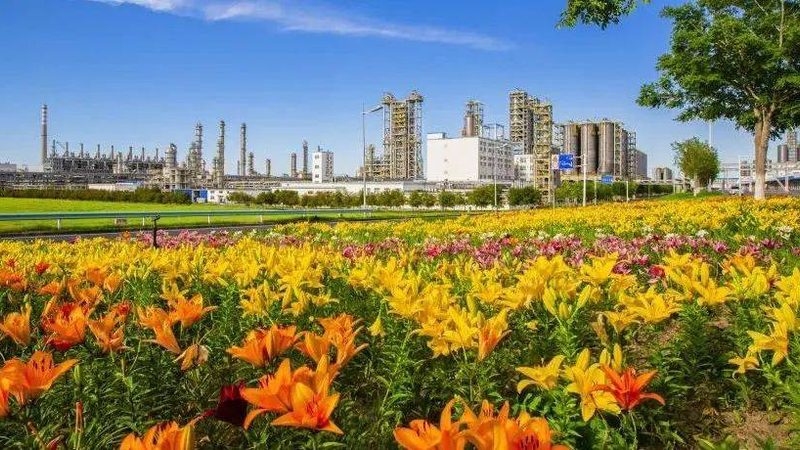 塑料分散剂：如何选择合适的广州供应商**