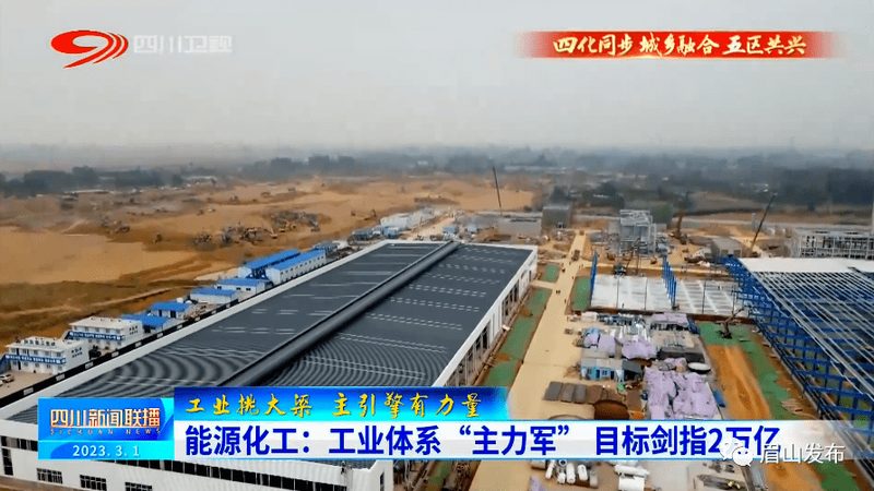 宠物食品防腐剂，如何选择更安心？**